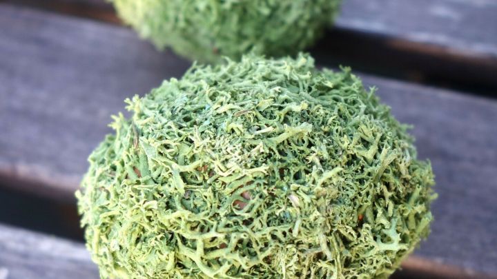 Zwei mit Moos bedeckte, ovale Ostereier liegen auf einer Holzoberfl&auml;che, umgeben von nat&uuml;rlicher Atmosph&auml;re.