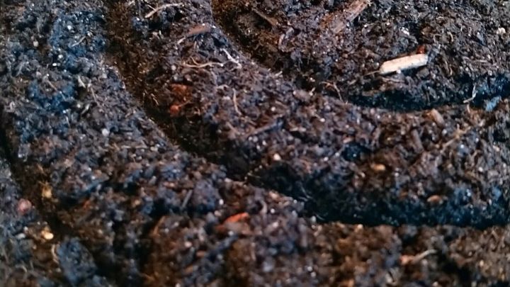 Ein Blumentopf mit spiralf&ouml;rmig angeordnetem, dunklem Erdsubstrat bereitet sich darauf vor, das Saatgut akkurat auszubringen.