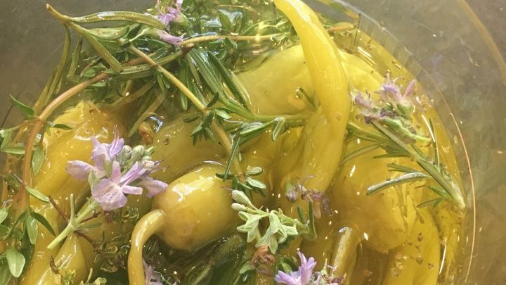 Mediterrane Peperoni schwimmen in einer Marinade aus &Ouml;l, Kr&auml;utern und Bl&uuml;ten in einem Glasbeh&auml;lter.