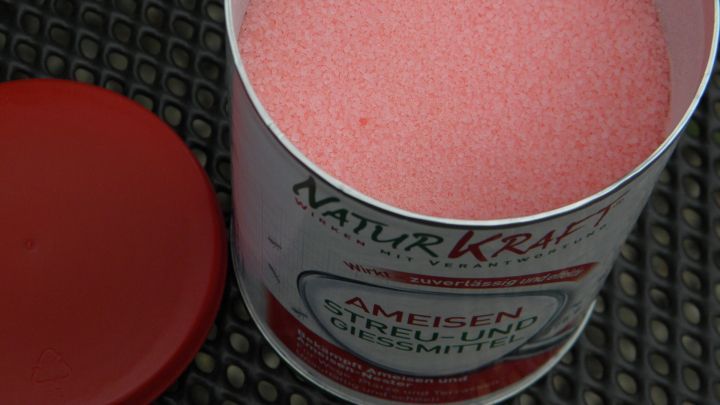 Eine Dose mit rosafarbener Substanz steht offen, bereit, Ameisen im Blumenk&uuml;bel zu bek&auml;mpfen.