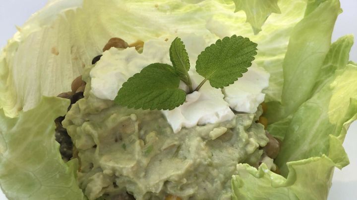 Eine gro&szlig;e Salatblatt-Schale h&auml;lt eine cremige Mischung aus Kidneybohnen und Kichererbsen, dekoriert mit Minze.