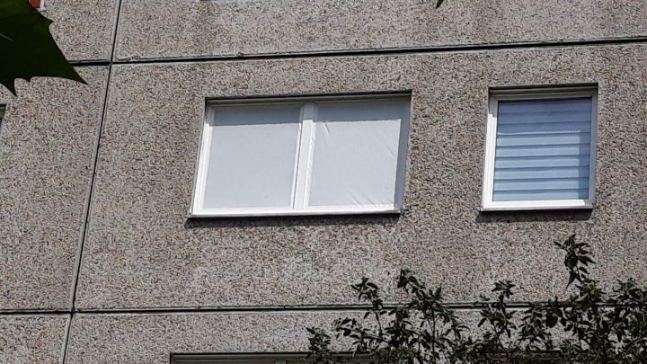 Wei&szlig;e Fenster mit Sonnenschutzmarkisen sind in einem grauen Mauerwerk angebracht und von gr&uuml;nen Bl&auml;ttern umgeben.
