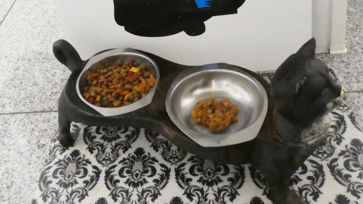 Schalen mit Nassfutter f&uuml;r Katzen stehen vor einer Wand mit einer schwarzen Katze und dem Schriftzug "koffie ZWARTE KAT".