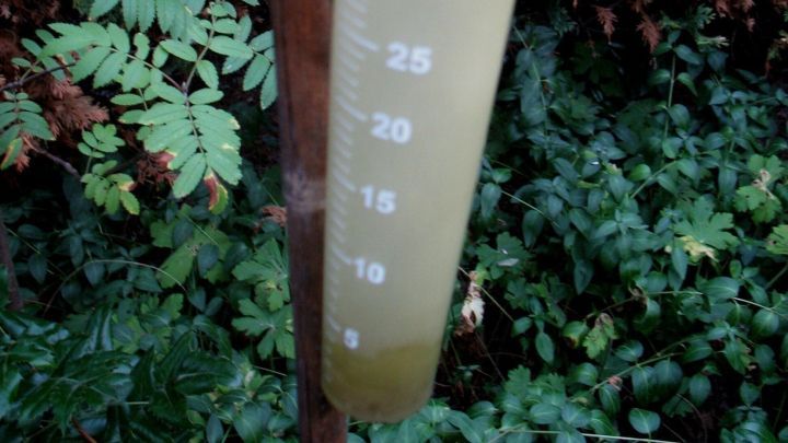 Ein Regenmesser steht in einem bepflanzten Garten und zeigt den Niederschlag an, wichtig f&uuml;r das richtige Bew&auml;ssern bei Hitze.