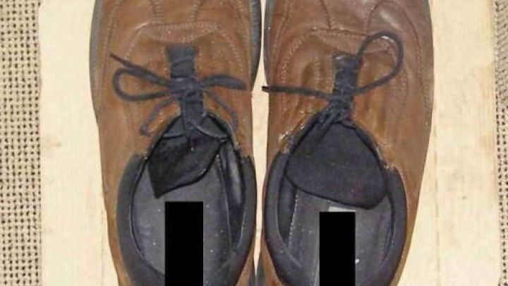 Schuhe stehen zum Trocknen auf einem Pizzakarton, auf einem Teppichboden.