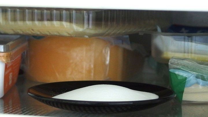Ein Teller mit Zucker steht im K&uuml;hlschrank, um Ger&uuml;che aus anderen Lebensmitteln zu neutralisieren. Der Hintergrund zeigt K&auml;se und andere Lebensmittel.