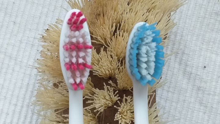 Zwei Zahnb&uuml;rsten, eine mit rosa und eine mit blauen Borsten, stehen auf einem hellen Hintergrund und verdeutlichen Zahnputzschaden.