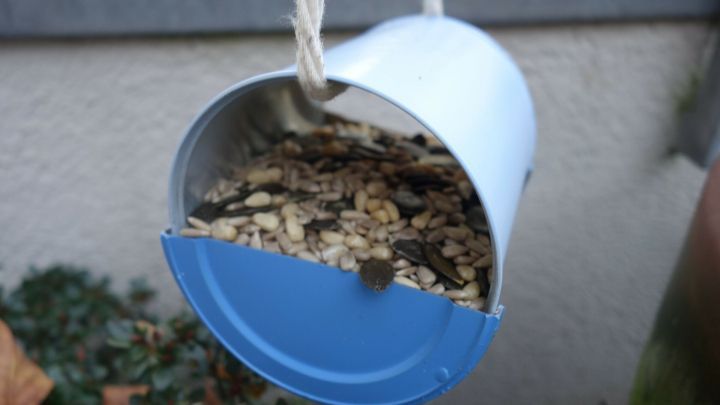 Eine Espressodose h&auml;ngt an einer Schnur und dient als Vogelfutterstelle, gef&uuml;llt mit Saaten, im Au&szlig;enbereich.