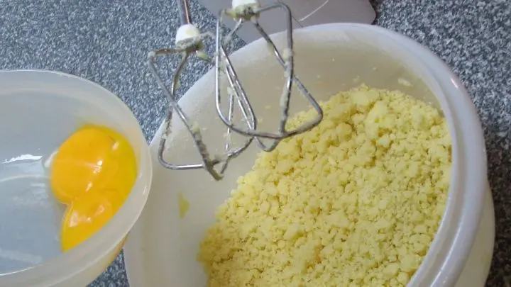 Die Zutaten mit den Quirlen des Mixers z&uuml;gig verr&uuml;hren, dass eine Art grober &ldquo;Sand&ldquo; entsteht, erst jetzt die Eigelbe zugeben nochmals kurz kneten. 