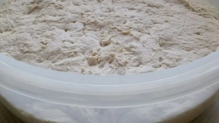 Honig und Hefe zusammen r&uuml;hren, so l&ouml;st sich die Hefe schnell auf.  Mehl mit Salz mischen, warmes Wasser dazu u.alle restlichen Zutaten       zusammen kneten, bis der Teig sich von vom Sch&uuml;sselrand l&ouml;st. 