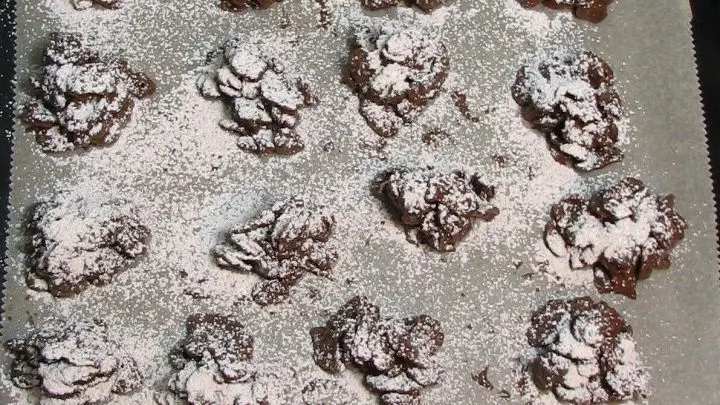 Solange sie noch &ldquo;feucht&ldquo; sind mit dem gew&uuml;rzten Puderzucker beschneien. F&uuml;r 10-15 Minuten in den K&uuml;hlschrank legen, damit die Schokolade gut anzieht.