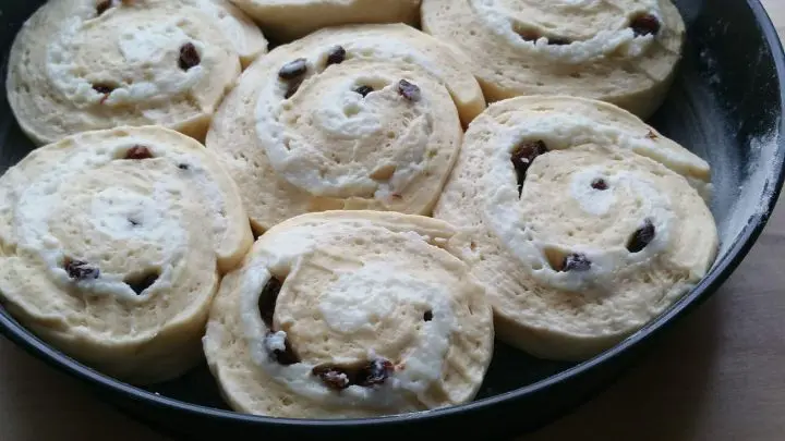 Die fertig geschnittenen Schnecken werden zum Backen in eine gefettete und gemehlte 32iger Springform gelegt und d&uuml;rfen nochmals gehen.