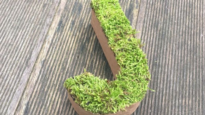 Ein Moosbuchstabe in Form eines &bdquo;J&ldquo; steht auf einer Holzfl&auml;che und zeigt lebendig gr&uuml;nes Moos als Dekoration.