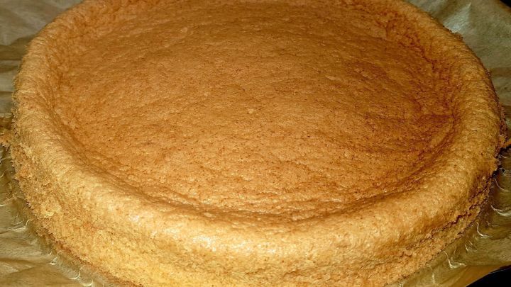 Ein runder, goldbrauner Low Carb Biskuitteig liegt auf Papier, frisch gebacken und bereit zur weiteren Verarbeitung.