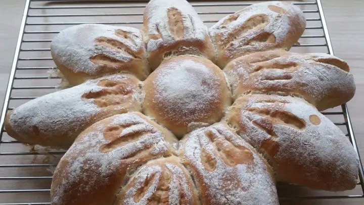 Die Brot-Sonnenblume 10 Minuten mit Dampf backen, Fettpfanne wieder herausnehmen und 15 Minuten weiterbacken, sie haben nun eine goldbraune Farbe. Auf dem Rost erkalten lassen.