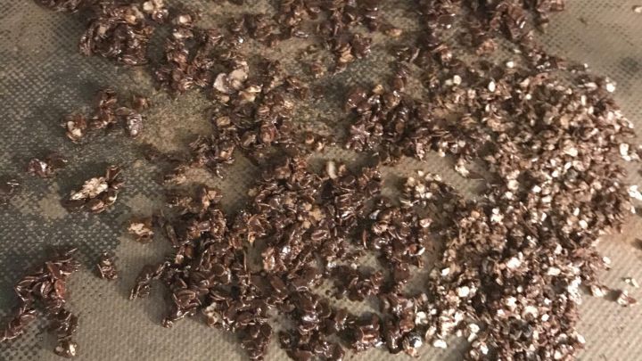 Auf einem Backblech liegt eine unregelm&auml;&szlig;ige Schicht aus knusprigem Low Carb M&uuml;sli, das fruchtig und nussig aussieht.