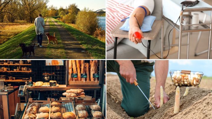 Ein Hundebesitzer geht mit seinem Hund spazieren, w&auml;hrend andere Menschen Blut spenden oder Lebensmittel anbauen.