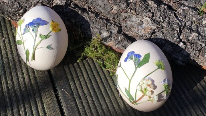 Dekorierte Ostereier mit Wiesenblumen liegen auf einem Baumstamm, umgeben von einer nat&uuml;rlichen Holzoberfl&auml;che.