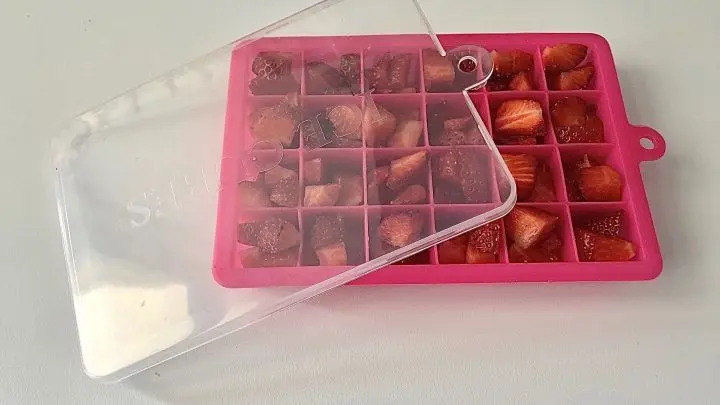 Ich verteile die Erdbeer-St&uuml;ckchen in eine Eisw&uuml;rfelschale aus flexiblem Silikon, die allerdings unbedingt einen Deckel haben sollte! 