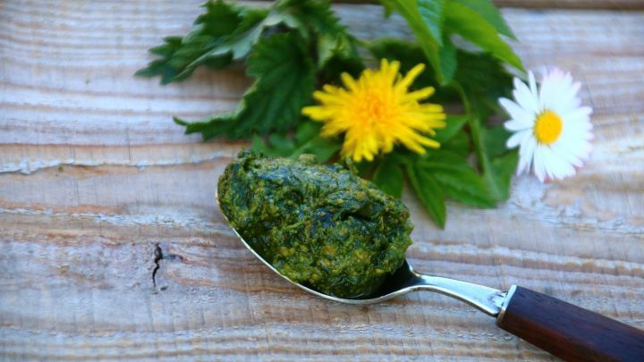 Ein L&ouml;ffel mit gr&uuml;nem Wildkr&auml;uter-Pesto liegt auf einer Holzoberfl&auml;che, umgeben von frischen Kr&auml;utern und Blumen.