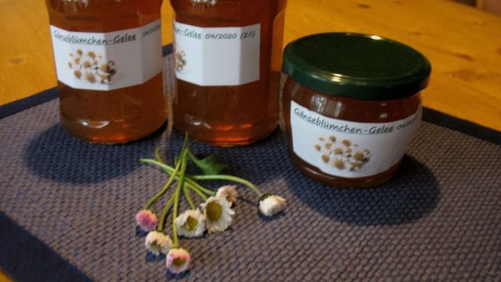 Drei Gl&auml;ser mit G&auml;nsebl&uuml;mchen-Apfel-Gelee stehen auf einem Tisch, umgeben von frischen G&auml;nsebl&uuml;mchen.