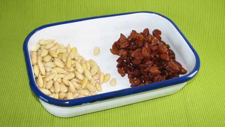 Ein Beh&auml;lter mit blanchierten Mandeln und ger&ouml;steten Mandeln auf einem gr&uuml;nen Hintergrund zeigt typische Zutaten f&uuml;rs R&ouml;sten.