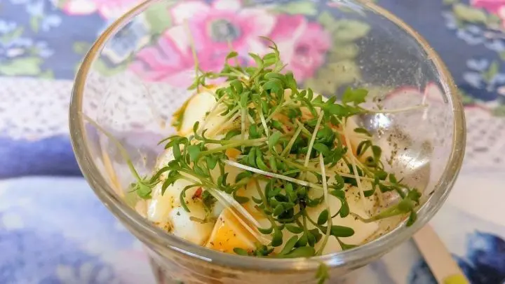 Eier zum Frühstück sind lecker. Hier einmal eine etwas andere und besonders leckere Zubereitungsart: Eier aus dem Glas mit Kresse.