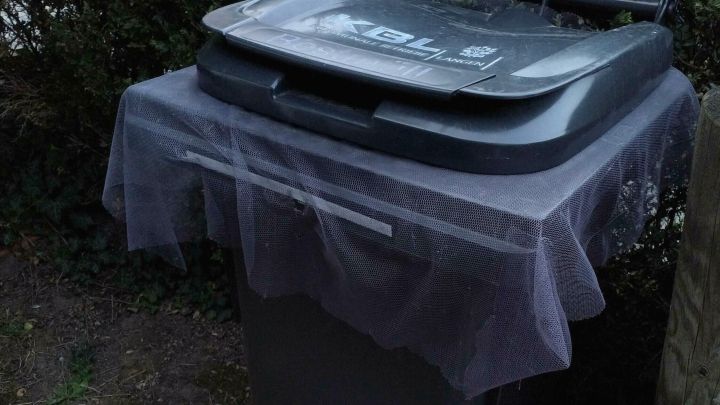 Eine M&uuml;lltonne steht im Freien und ist mit einem Netz abgedeckt, um Fliegen und Maden fernzuhalten.