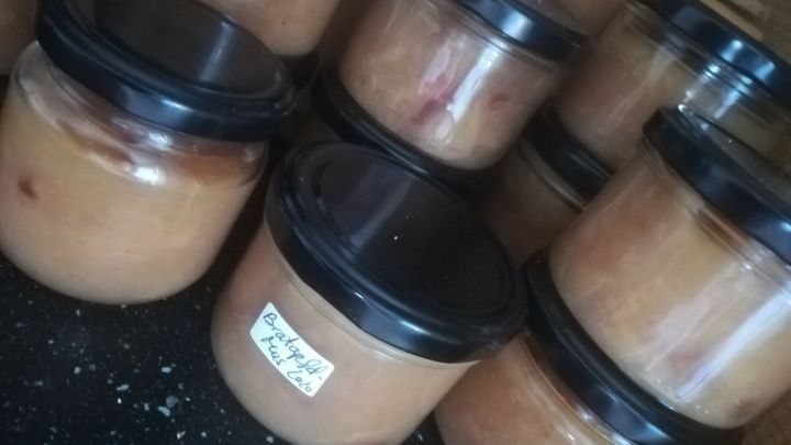 Eine Reihe von Gl&auml;sern mit Bratapfelmus aus Klar&auml;pfeln steht auf einer dunklen Unterlage und zeigt ihre cremige, warme Textur.