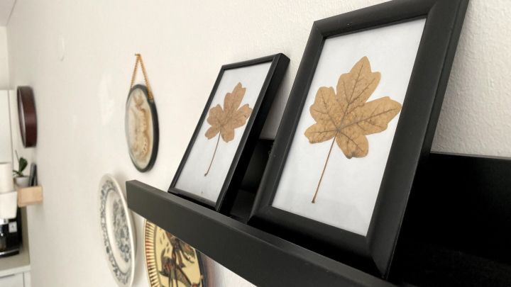 Getrocknete Bl&auml;tter in schwarzen Rahmen werden im Wohnraum auf einem Regal dekorativ pr&auml;sentiert, um herbstliche Deko zu schaffen.