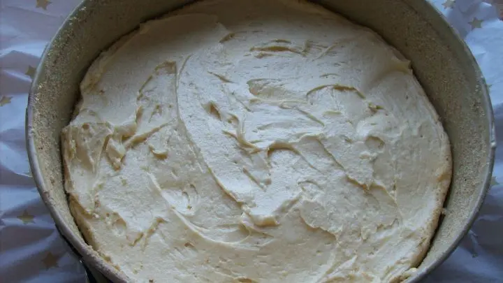 Eine 26er Springform wird am Boden mit einem Backpapier ausgelegt und der Rand wird eingefettet und mit Paniermehl ausgestreut. Jetzt kann der Teig eingef&uuml;llt werden und der Kuchen wird im vorgeheizten Ofen bei 180 Grad f&uuml;r 45 Minuten gebacken. 