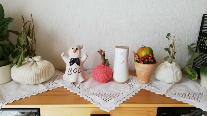 K&uuml;rbisse aus Strickpullovern schm&uuml;cken eine Anrichte, umgeben von Pflanzen und einer kleinen Dekofigur mit dem Text "Boo".