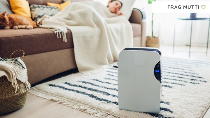 luftentfeuchter test