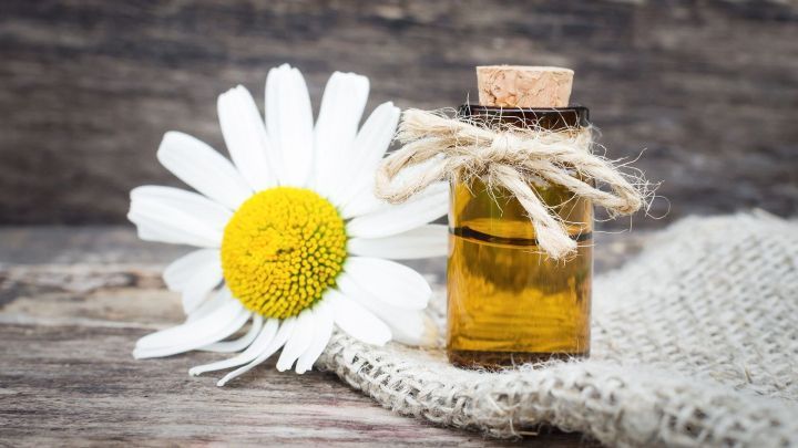 Eine Kamille bl&uuml;ht neben einem kleinen Fl&auml;schchen mit Kamillen&ouml;l auf einem rustikalen Holztisch, umgeben von Jute.