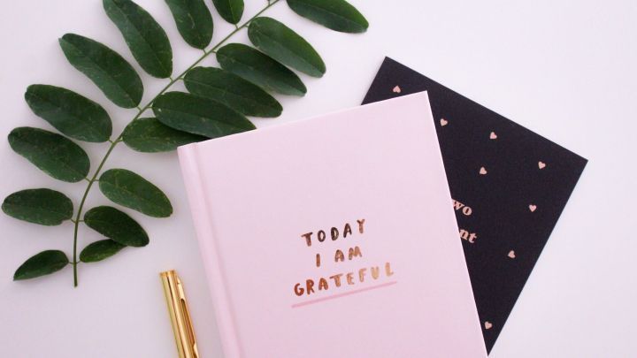 Ein pinkes Notizbuch mit der Aufschrift "TODAY I AM GRATEFUL" liegt auf einem Tisch und wird von einer Pflanze umgeben.