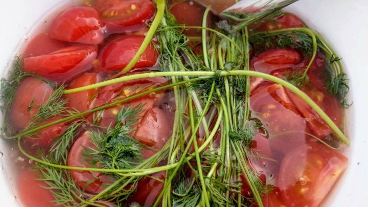 Eingelegte Tomaten mit Dill und Knoblauch schwimmen in einer marinierten Fl&uuml;ssigkeit in einer Sch&uuml;ssel.