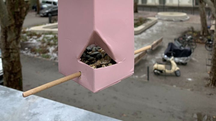 Ein pinkfarbenes Vogelhaus aus Tetrapak h&auml;ngt an einem Ast, gef&uuml;llt mit Futter, in einer urbanen Umgebung.
