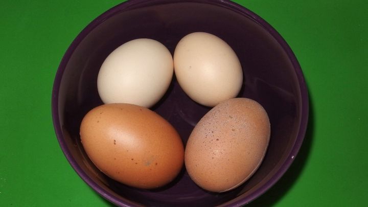 In einer lila Sch&uuml;ssel liegen vier kalte Eier, w&auml;hrend sie auf einem gr&uuml;nen Hintergrund ruhen.