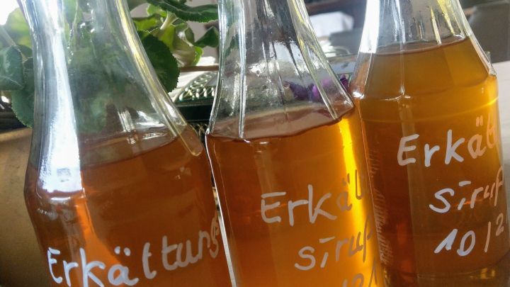 Drei Flaschen mit hausgemachtem Erk&auml;ltungsirup stehen auf einem Tisch, umgeben von einer Pflanzenlandschaft im Hintergrund.