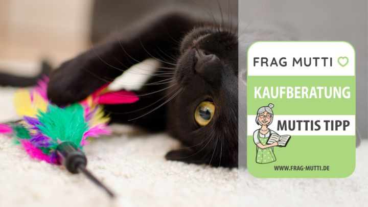 katzenspielzeug test