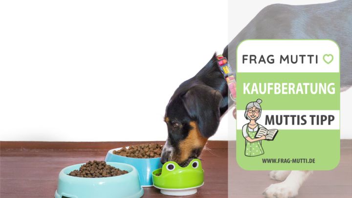 hundefutter test