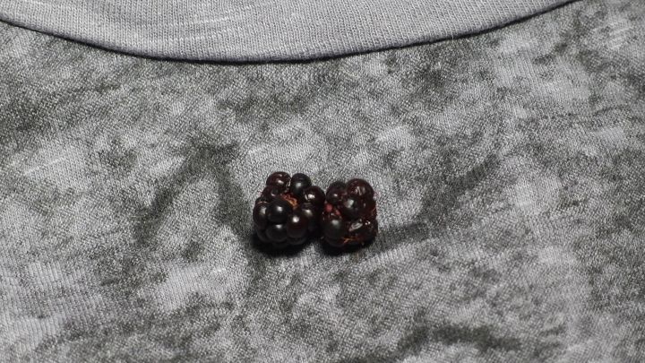 Zwei dunkle Obstflecken liegen auf einem grauen, samtartigen Stoff, bereit zur Behandlung mit Naturjoghurt.