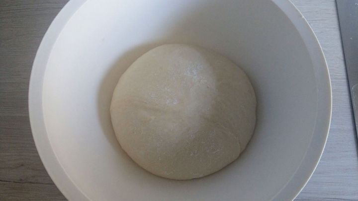 Teig zu einer glatten Kugel formen und in eine Sch&uuml;ssel legen. Dort gehen lassen, bis er gut aufgegangen ist.