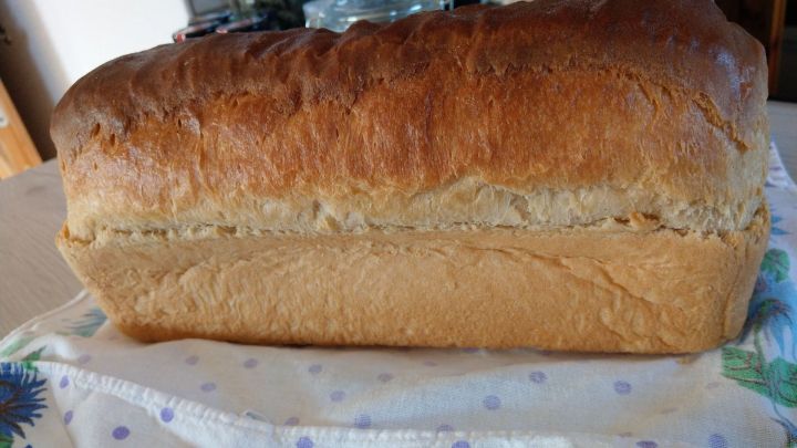 Nach etwa 15 Minuten den Toast aus der Form gleiten lassen und in einem Tuch eingeschlagen abk&uuml;hlen lassen.