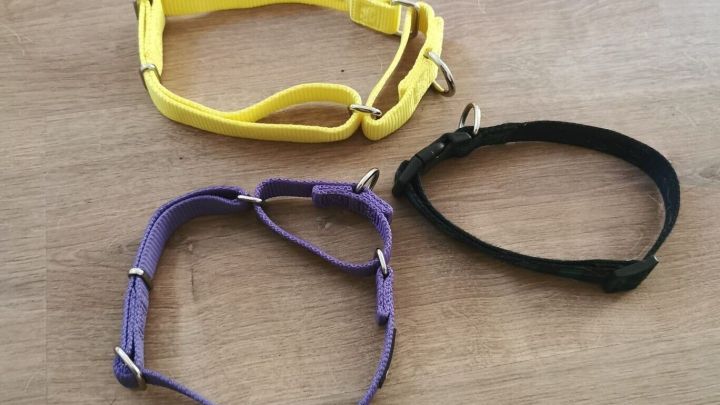 Drei Hundehalsb&auml;nder in Gelb, Lila und Schwarz liegen auf einem Holztisch und warten auf einen neuen Hund.