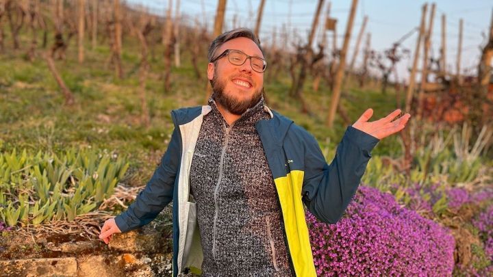Ein Mann, entspannt an einer bl&uuml;henden Mauer aus lila Blumen, genie&szlig;t die Abendd&auml;mmerung inmitten von Weinbergen.