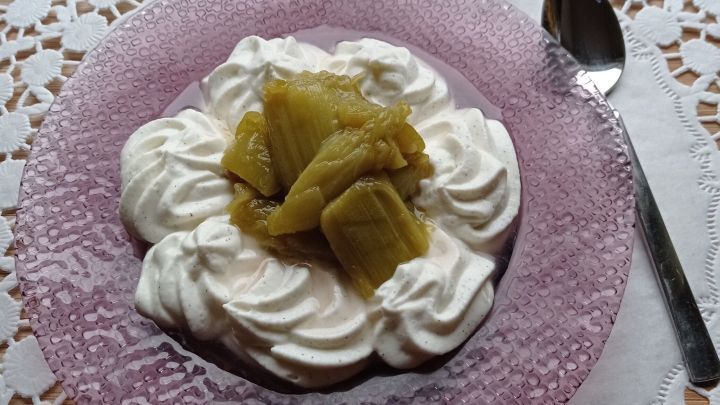 Vanillequark ist auf einem lila Teller angerichtet und mit Rhabarberkompott dekoriert, umgeben von einer wei&szlig;en Serviette.