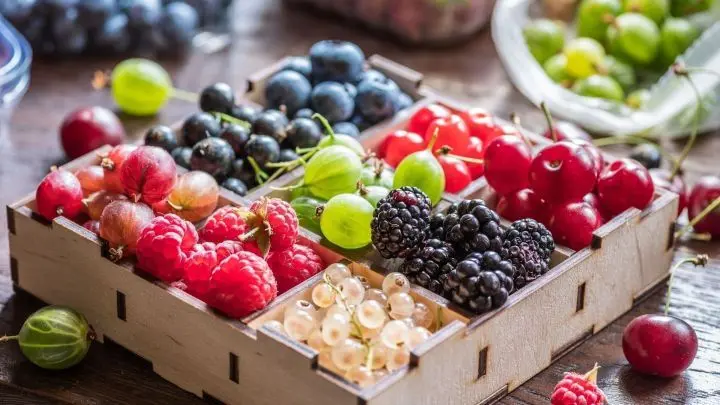 Fun Facts: Wusstest du, dass nur eine Schale verzehrte Beeren pro Woche dein Immunsystem stärkt und gleichzeitig die Leistung deines Gedächtnisses erhöht? Die Beeren sind reich an Vitaminen, Mineralien und Ballaststoffen und sie sind gesund für Zähne und Augen.