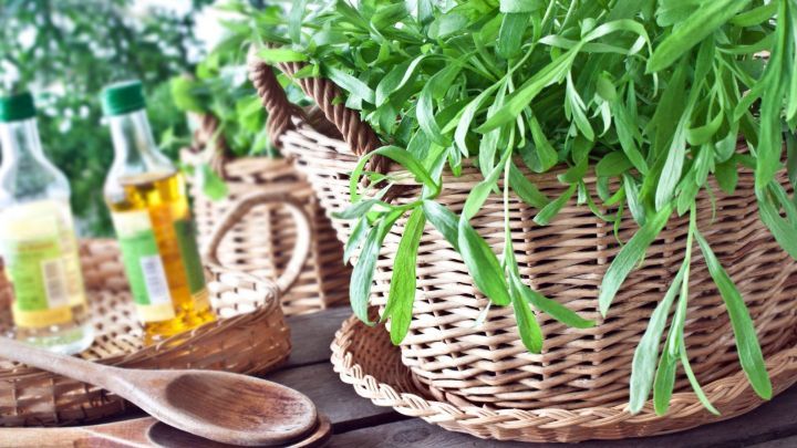 Ein Korb mit frischem Estragon steht auf einem Holztisch, umgeben von Essigflaschen und Holzl&ouml;ffeln zum Kochen.