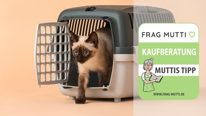 katzentransportbox test